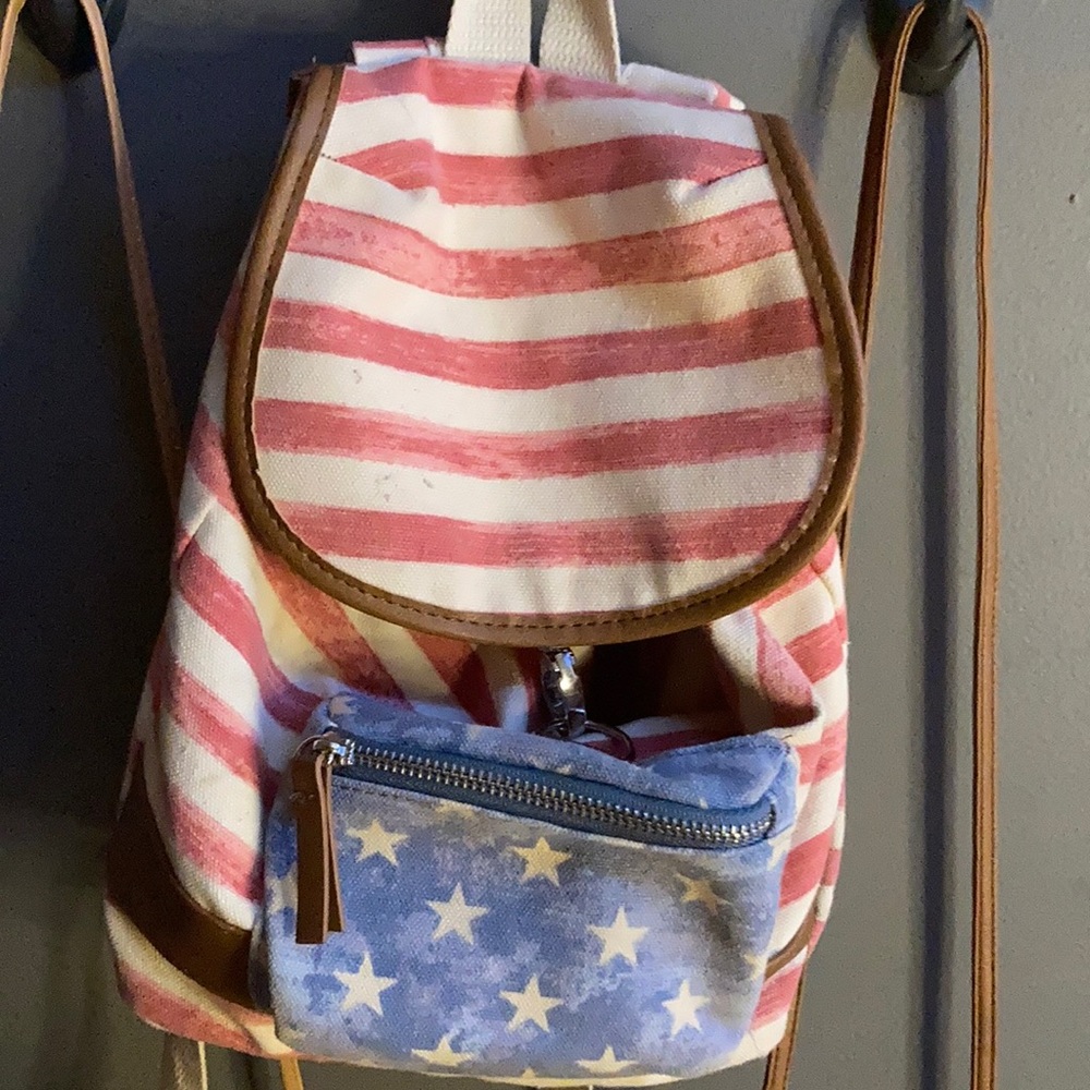 Mini backpack USA
